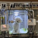 도희동물병원 이미지