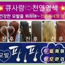 큐사랑염색 이미지