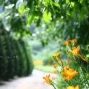 우리바다 민박 이미지