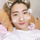 커버봇 이미지