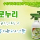 누리바로 이미지