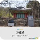 정충묘 | 경기 광주 정충묘 자주목련 숲에서의 봄 나들이