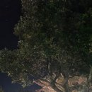 모구리야영장(가족영지) 이미지