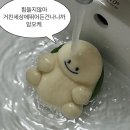 샤니 대구공장 한달 반 후기 + 만근월급 실수령액 + 기숙사 A to Z