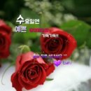 마음 이미지