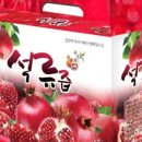 강원건강원 - 안성시 중앙5길 20 | 강원건강원