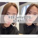 핑크봉 속눈썹&왁싱&피부 옥정점