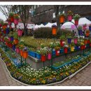 북구청광장 이미지