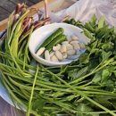 원동농장 이미지