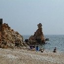 수군농장 이미지