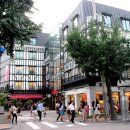 가로수길 이미지