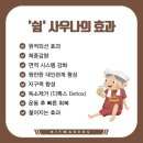 더블유(W)사우나 이미지