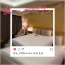 (주)현대드라이크리닝 | 울산여행 호텔 추천 바이 라한 울산 디럭스더블 1박2일 후기