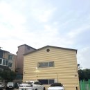 애몽 | 북한산 애견카페 카페애몽 실외운동장&amp;음료 후기