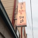안동꿀돼지 이미지