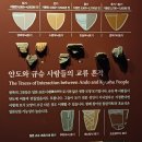 세븐일레븐 광주중흥모아점 | 광주 역사문화실