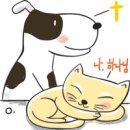 개와고양이의생각 - 도봉구 방학로10길 9 | 개와고양이의생각