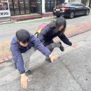 조신옆골 | 2026 상반기 축구결산