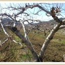 엘림농장 이미지