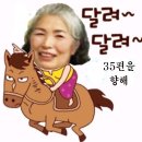 조경애 이미지