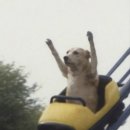 (유)장보고싶은마트신가점 | 밀린 일기장