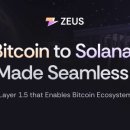 제우스(zeus) 이미지