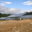 일광에너지 태양광발전소 이미지