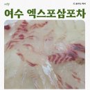 여수 오동도 근처 싱싱한 활어회맛집 엑스포삼포차