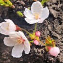 까치공원 이미지