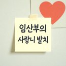 명지오션시티동물병원 | 명지오션시티치과, 임신 중 사랑니 발치할 수 있을까?