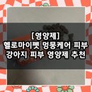 멍뭉펫 | [영양제] 강아지 피부 영양제 추천 / 헬로마이펫 멍뭉케어 피부