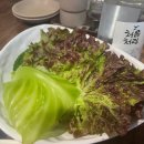 미소쌈밥정식 | [합정역 맛집] 자취생과 엄마 밥 그리움 달래주는 삼다돈 쌈밥정식