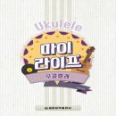 세광 이미지