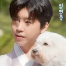 춘하추동 이미지