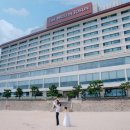 다솜식당 이미지