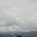 부여사나래캠핑농원