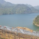산수리농장 이미지