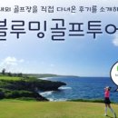 엠버여행사 이미지