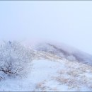 삼가-21 이미지