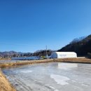 추억의 아이들 표정 | 엄정추억의썰매장 방문기, 아이랑 2시간 알차게 놀고 온 후기