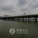 양화 이미지