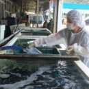 바닷가횟집 이미지