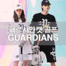 페르시안캣 이미지