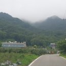 이수미팜베리