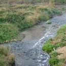 수영강 동천교 이미지