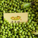 콩푸대
