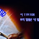 생명의소리Ⅱ 이미지