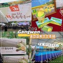 덮밥동아리 | 홍천찰옥수수축제 후기｜주차·무료 워터파크·먹거리까지 총정리