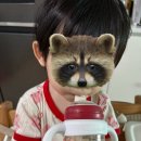 상하연주목장 이미지