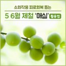 매실 이미지